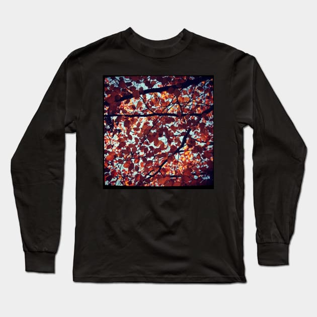 Autumn Leaves Long Sleeve T-Shirt by Jonesyinc